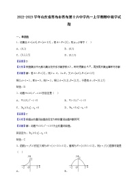 2022-2023学年山东省青岛市青岛第十六中学高一上学期期中数学试题（解析版）