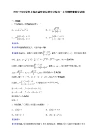 2022-2023学年上海市浦东复旦附中分校高一上学期期中数学试题（解析版）