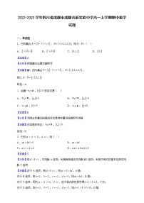 2022-2023学年四川省成都市成都高新实验中学高一上学期期中数学试题（解析版）
