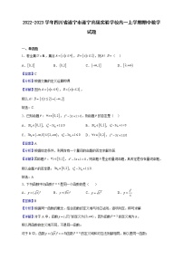 2022-2023学年四川省遂宁市遂宁高级实验学校高一上学期期中数学试题（解析版）