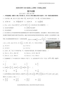 哈师大附中2020 级高三上学期1 月份线上测试数学试题