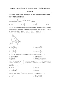 2022-2023学年安徽省省十联考（合肥八中等）高二上学期期中考试 数学 Word版