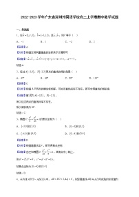 2022-2023学年广东省深圳外国语学校高二上学期期中数学试题（解析版）