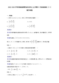 2022-2023学年河南省鹤壁市高中高二上学期11月居家测试（一）数学试题（解析版）