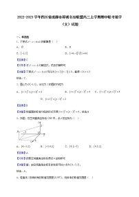 2022-2023学年四川省成都市蓉城名校联盟高二上学期期中联考数学（文）试题（解析版）