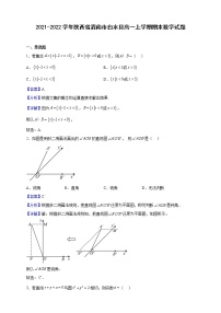 2021-2022学年陕西省渭南市白水县高一上学期期末数学试题（解析版）