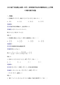 2023届广东省湛江市第一中学、深圳实验学校高中部两校高三上学期1月联考数学试题（解析版）