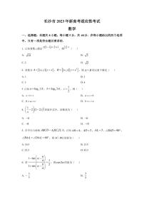 2023届湖南省长沙市高三上学期新高考1月适应性考试数学试卷（PDF版）