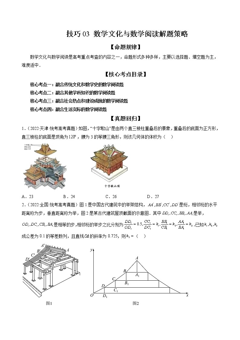 技巧03 数学文化与数学阅读解题策略（精讲精练）（原卷版）第1页
