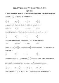 2023届福建省南安市柳城中学高三上学期12月月考数学试题（含答案）