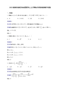 2023届湖北省武汉市武昌区高三上学期元月质量检测数学试题（解析版）