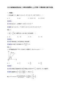 2023届湖南省株洲市二中教育集团高三上学期1月期末联考数学试题（解析版）