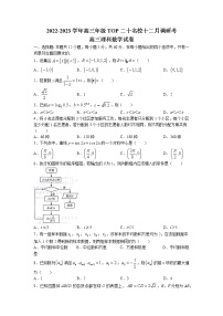 河南省TOP二十2023届高三数学（理）上学期12月调研考试试卷（Word版附解析）