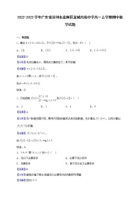2022-2023学年广东省深圳市龙城高级中学高一上学期期中数学试题（解析版）