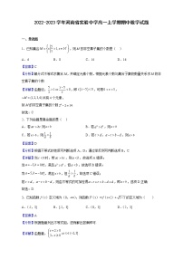 2022-2023学年河南省实验中学高一上学期期中数学试题（解析版）