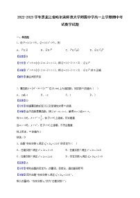 2022-2023学年黑龙江省哈尔滨师范大学附属中学高一上学期期中考试数学试题（解析版）