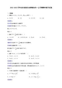 2022-2023学年山东省泰安市肥城市高一上学期期中数学试题（解析版）