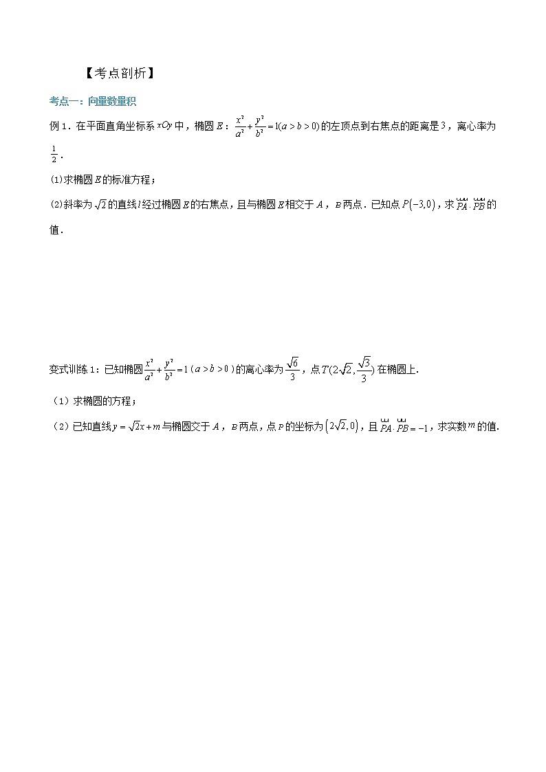 第04讲：向量问题一（原卷版）第2页