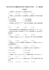 2022-2023学年安徽省安庆市怀宁县新安中学高一（上）期末数学试卷（含答案解析）