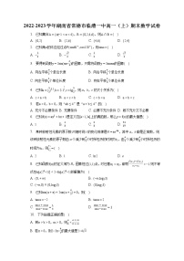 2022-2023学年湖南省常德市临澧一中高一（上）期末数学试卷（含答案解析）
