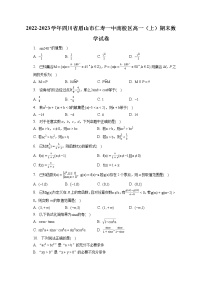 2022-2023学年四川省眉山市仁寿一中南校区高一（上）期末数学试卷（含答案解析）