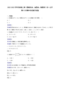 2022-2023学年甘肃省三地（嘉峪关市、金昌市、临夏州）高一上学期12月期中考试数学试题（解析版）