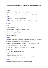 2022-2023学年湖北省武汉外国语学校高一上学期期末数学试题（解析版）
