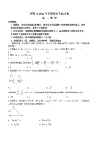 2023怀化高三上学期期末考试数学含解析