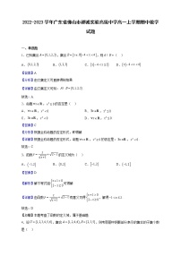 2022-2023学年广东省佛山市禅城实验高级中学高一上学期期中数学试题（解析版）