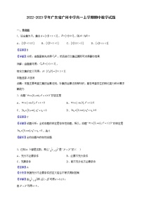2022-2023学年广东省广州中学高一上学期期中数学试题（解析版）