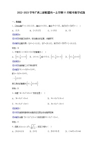 2022-2023学年广西三新联盟高一上学期11月联考数学试题（解析版）
