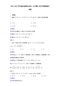 2022-2023学年湖北省黄石市高一上学期9月月考模拟数学试题（解析版）