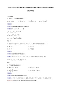 2022-2023学年上海交通大学附属中学浦东实验中学高一上学期期中数学试题（解析版）