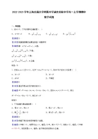 2022-2023学年上海交通大学附属中学浦东实验中学高一上学期期中数学试题(解析版)