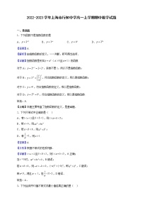 2022-2023学年上海市行知中学高一上学期期中数学试题（解析版）