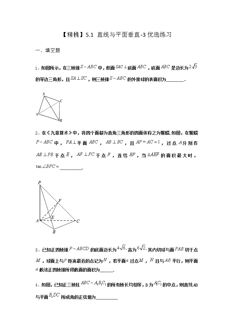 北师大版高中数学必修第二册5-1直线与平面垂直优选作业9含答案第1页