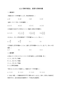高中数学人教B版 (2019)选择性必修 第一册第一章　空间向量与立体几何1.2 空间向量在立体几何中的应用1.2.1 空间中的点、直线与空间向量习题