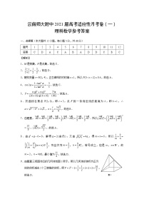 2021届云南师范大学附属中学高三高考适应性月考卷（一）数学（理）试题 PDF版