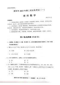 2023届贵州省贵阳市高三适应性考试（一）理科数学试卷（含答案）