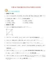 专题08 平面向量及其应用必考题型（真题、自招、模拟）分类训练-高考数学二轮复习讲义+分层训练（上海高考专用）