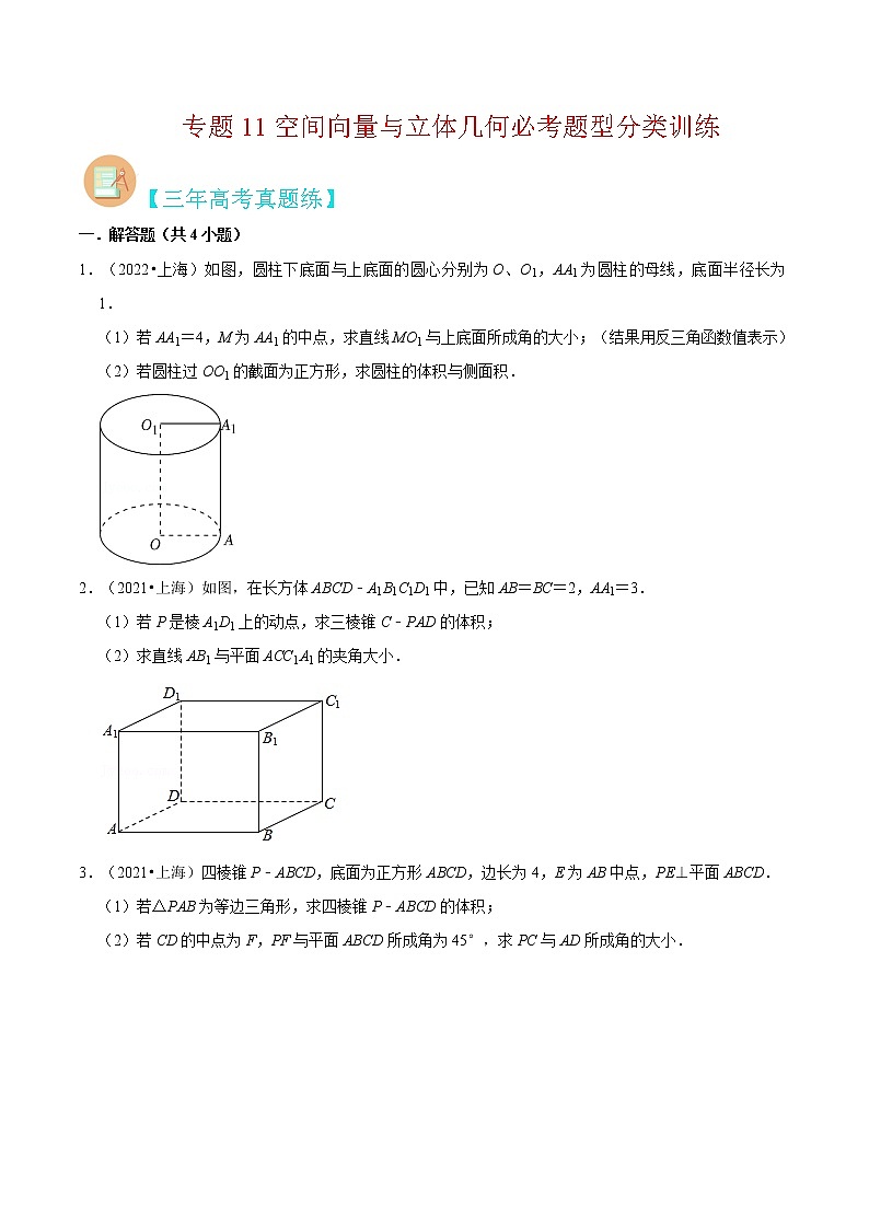 专题11 空间向量与立体几何必考题型（真题、自招、模拟）分类训练-高考数学二轮复习讲义+分层训练（上海高考专用）01