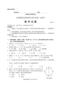 福建省名校联盟全国优质校2022-2023学年高三下学期2月大联考试题（厦门一中二模） 数学  PDF版含答案