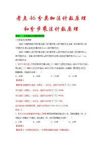 新高考数学一轮复习考点练习考点46 分类加法计数原理和分步乘法计数原理 (含解析)