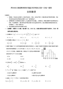 四川省大数据精准教学联盟2020 级高三第一次统一监测  文科数学（word+pdf+答案）