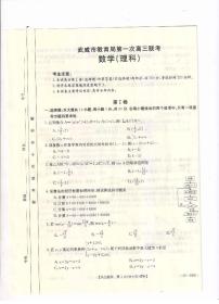 2023届甘肃省武威市高三下学期高考模拟（第一次联考）理数试卷及答案