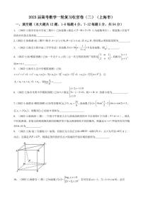 2023届上海市高考数学一轮复习模拟收官卷（二）（PDF版）