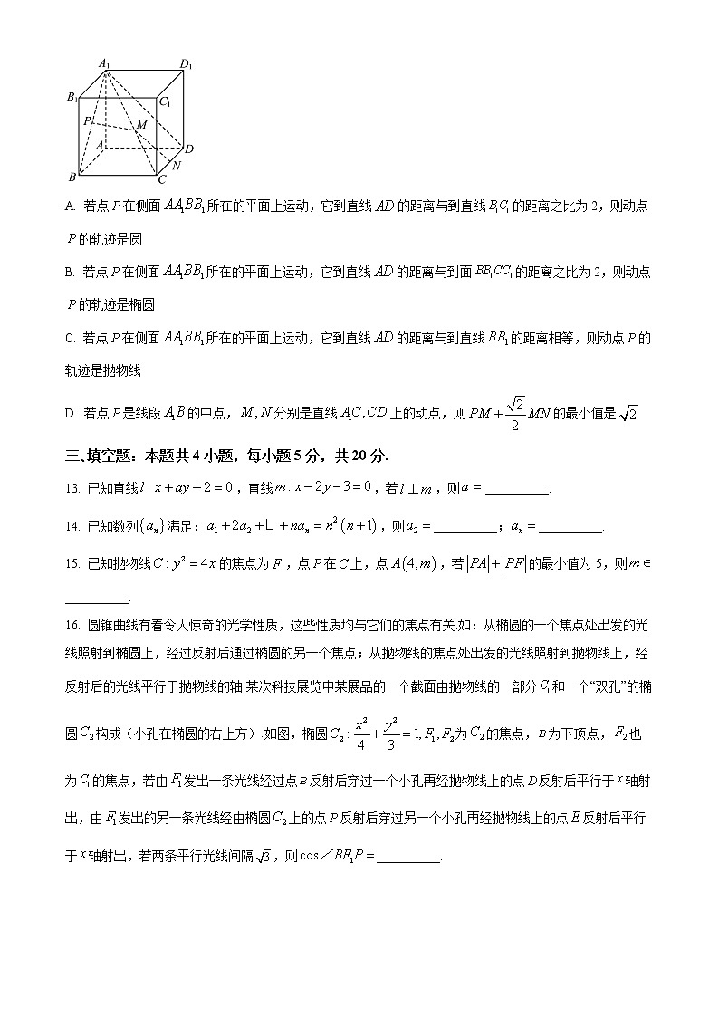 2023绍兴诸暨高二上学期期末考试数学试题含解析03