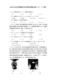 2022年山东省聊城市高考数学模拟试卷（三）（三模）