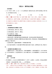 高考数学二轮复习专题20 排列组合问题(2份打包，教师版+原卷版)