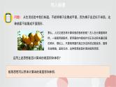 北师大版高中数学必修第二册6-6-3球的表面积和体积课件